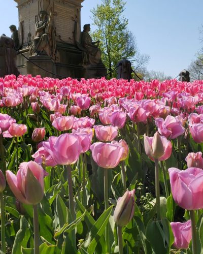 Consultorio Junguiano Atendimento Psicologia (7)